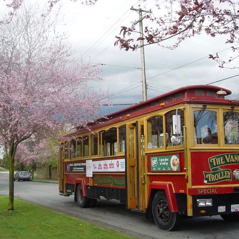 experience vancouver best tours when it's raining trolley company hop on off
