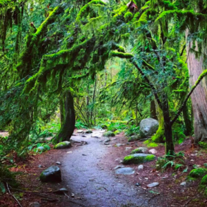 experience vancouver group lynn valley self guided tours