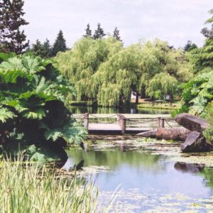 experience vancouver group vandusen botanical garden self guided tours