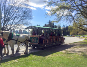 experience vancouver group sightseeing outdoors tours stanley park horse-drawn carriage