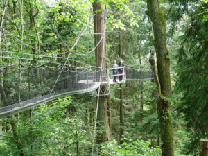 experience vancouver greenheart tree walk ubc botanical gardens summer 2017